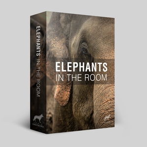 Elephants In The Room Sound Effects Library with MULA KRAFTON 04X LICENSES