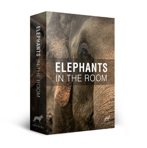 Elephants In The Room Sound Effects Library